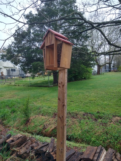 I’m finally on my way with this website.