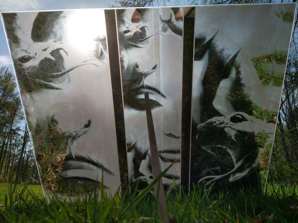 Medusa Mirror project