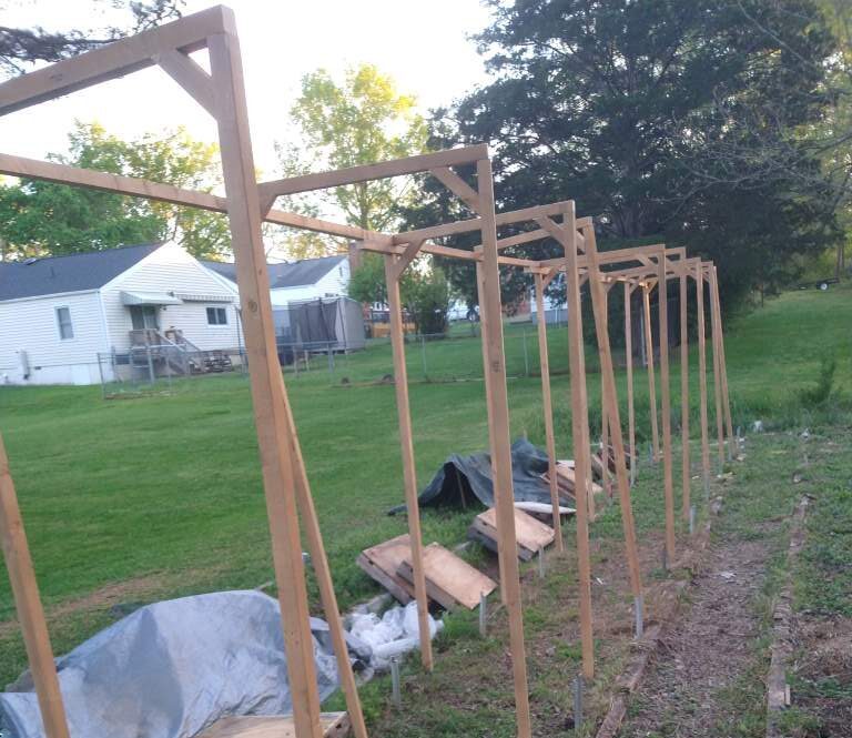 Trellis Build and Lift