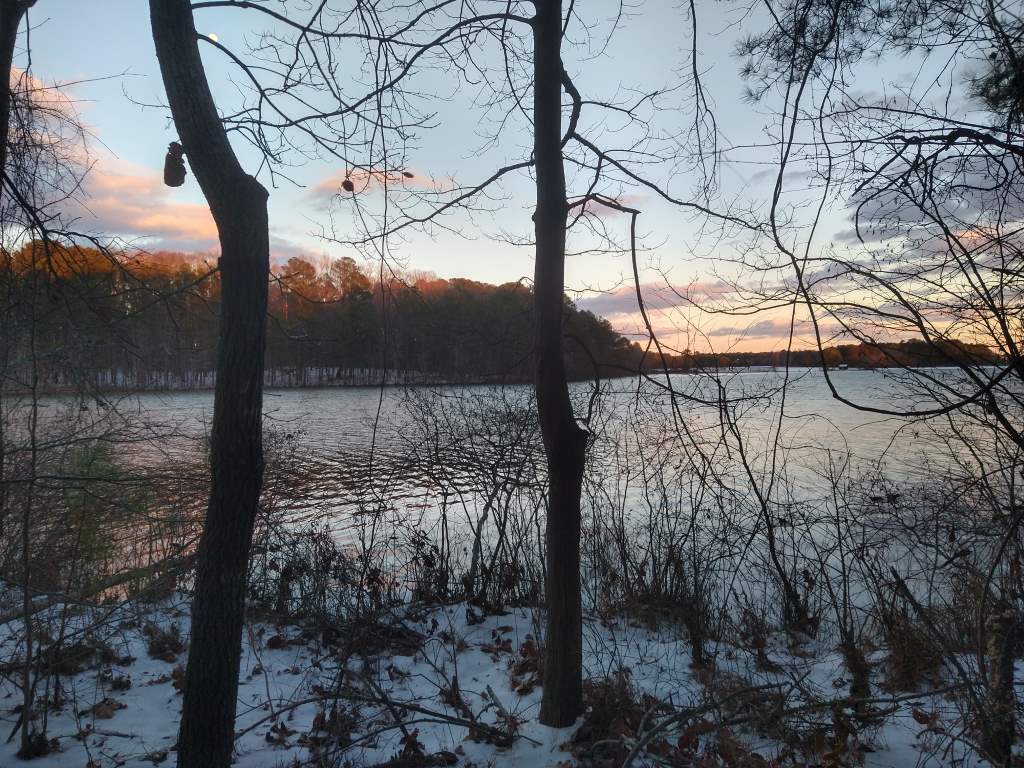 I went jogging to clear my head from the pressures of homeschool.